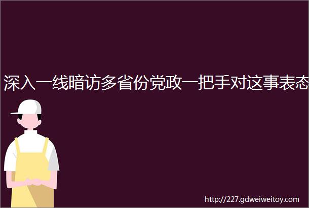 深入一线暗访多省份党政一把手对这事表态